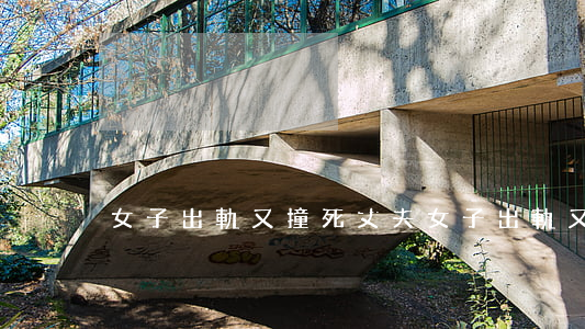 女子出軌又撞死丈夫(女子出軌又撞死丈夫O)