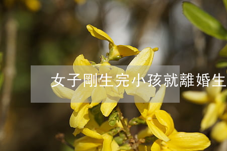女子剛生完小孩就離婚(生了孩子離婚)