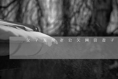 女子发现老公欠网贷(妻子欠网贷)
