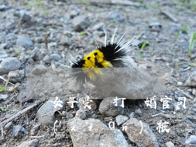 女子受騙打離婚官司(離婚兩年發(fā)現(xiàn)被騙離婚)