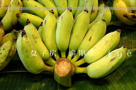 女子房貸逾期6個(gè)月