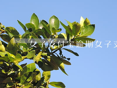 女子支付宝逾期(女子支付宝逾期)