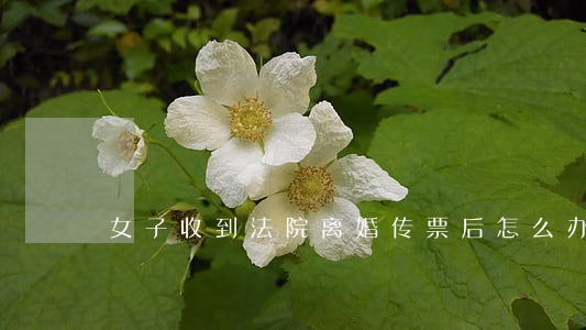 女子收到法院离婚传票后怎么办