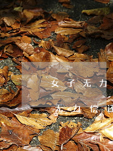 女子无力偿还债务与债主闪婚又闪离-女子无力偿还债务与债主结婚后闪离