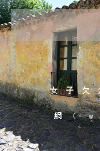 女子欠27萬網(wǎng)貸(一個女人欠網(wǎng)貸20多萬)