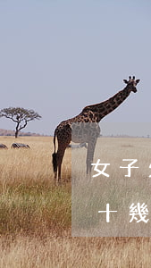 女子欠網(wǎng)貸一百多萬(女生欠了十幾萬網(wǎng)貸)