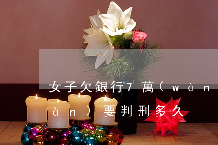 女子欠銀行7萬(wàn)(欠銀行七萬(wàn)要判刑多久)