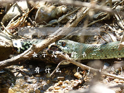 女子欠銀行卡一萬塊錢(欠銀行一萬多塊錢會有什么結(jié)果)