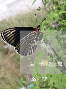 女子欠銀行貸款不還(女子欠銀行貸款不還怎么辦)