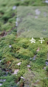 女子無力償還債務(wù)閃婚