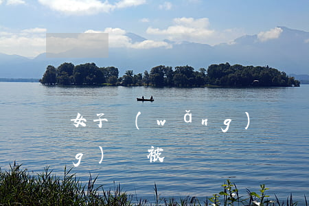 女子網(wǎng)戀離婚被騙(網(wǎng)戀被詐騙)