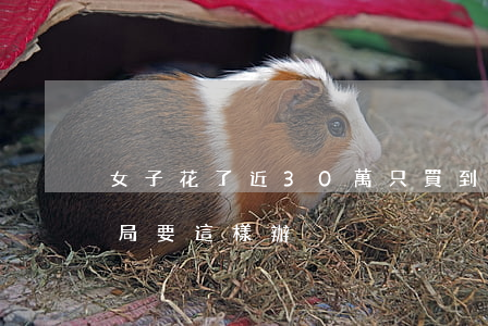 女子花了近30萬，只買到10個口罩，遭遇騙局要這樣辦！