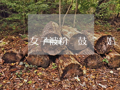 女子被粉絲鼓動離婚