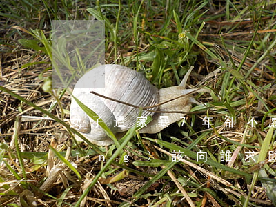 女子遭家暴7年卻不愿離婚 遭遇家暴應(yīng)該向誰求助?