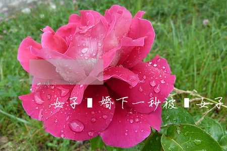 女子離婚下一秒被騙(女子離婚下一秒被騙)