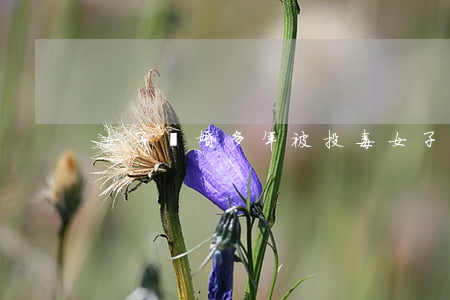 女子離婚多年被投毒(女子離婚多年被投毒)