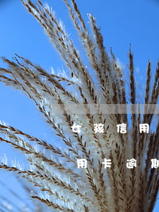 女孩信用卡逾期父母可以去法院嗎-女孩信用卡逾期父母可以去法院嗎知乎