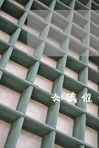 女孩催信用卡逾期