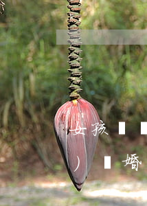 女孩剛滿兩歲就離婚(孩子兩歲之內(nèi)離婚)
