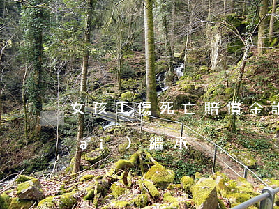 女孩工傷死亡賠償金誰(shuí)來(lái)繼承