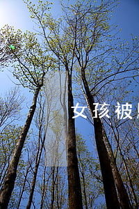 女孩被騙欠幾十萬網(wǎng)貸