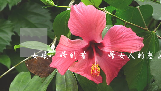 女孩離婚的苦惱(離婚女人的想法)
