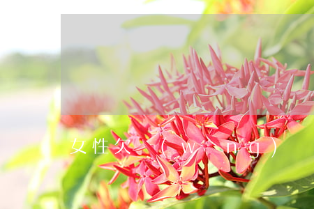 女性欠網(wǎng)貸的多嗎