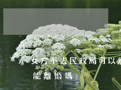 女方不去民政局可以離婚嗎(雙方不到民政局能離婚嗎)