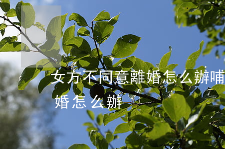 女方不同意離婚怎么辦(哺乳期女方不同意離婚怎么辦)