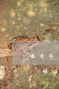 女方不孕離婚孩子撫養(yǎng)權歸誰(離婚后撫養(yǎng)權歸女方,男方不給孩子)