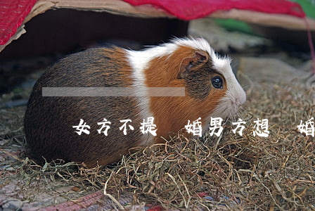 女方不提離婚男方想離婚怎么辦