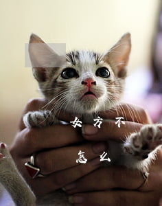 女方不給離婚財(cái)產(chǎn)怎么辦
