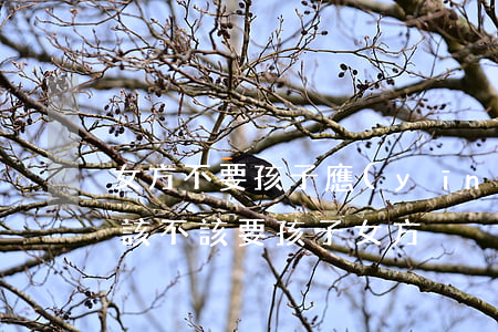 女方不要孩子應(yīng)該離婚嗎(離婚該不該要孩子女方)