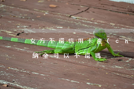女方不還信用卡產(chǎn)生滯納金(滯納金可以不還嗎)