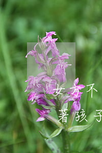 女方不離婚帶孩子回娘家(離婚后女方可以帶著孩子把戶口遷回娘家嗎)