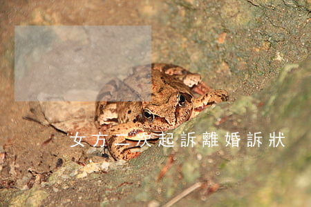 女方二次起訴離婚訴狀
