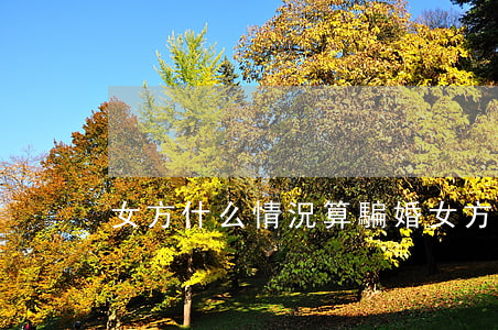 女方什么情況算騙婚(女方什么情況下算騙婚)