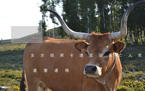 女方信用卡透支后死亡(人死后透支的信用卡還要還嗎)