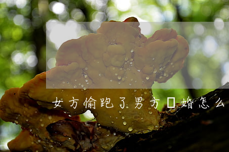 女方偷跑了男方離婚怎么辦