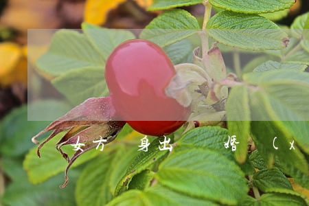 女方凈身出戶離婚協(xié)議書怎么寫