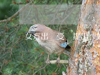 女方出軌受騙提出離婚怎么辦