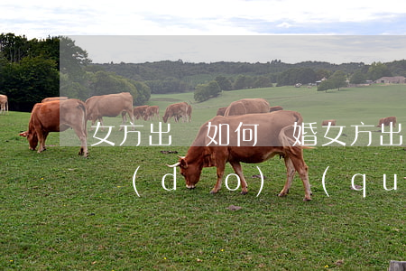 女方出軌如何離婚(女方出軌如何離婚中占主導(dǎo)權(quán))