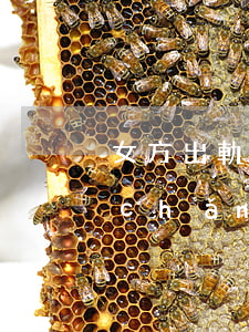 女方出軌離婚有權(quán)利分家產(chǎn)嗎(女方出軌有證據(jù)離婚可以分男方的財產(chǎn)嗎)