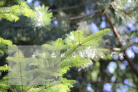 女方出轨后怀孕会不会涉及重婚罪？