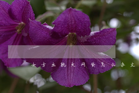 女方出轨欠网贷怎么办(丈夫欠网贷)