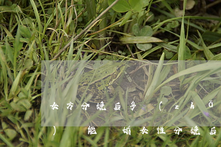 女方分娩后多長(zhǎng)時(shí)間能離婚(女性分娩后多久男方不能提離婚)
