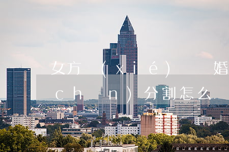 女方協(xié)議離婚財(cái)產(chǎn)分割怎么寫(離婚協(xié)議書關(guān)于財(cái)產(chǎn)房屋分割怎么寫)