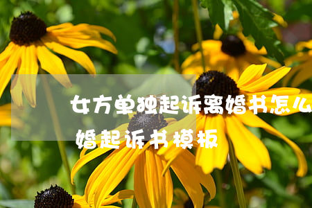 女方单独起诉离婚书怎么写(女方单方起诉离婚起诉书模板)
