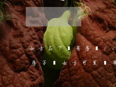 女方名下沒有房產(chǎn)離婚(離婚后房子歸女方可是沒有房產(chǎn)證怎么辦)