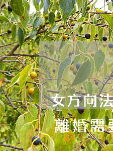 女方向法院起訴離婚需要什么材料(女的起訴離婚需要什么材料)